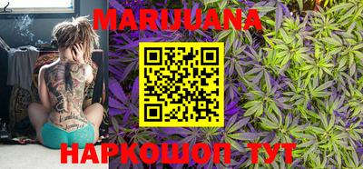 дмт Новоалтайск