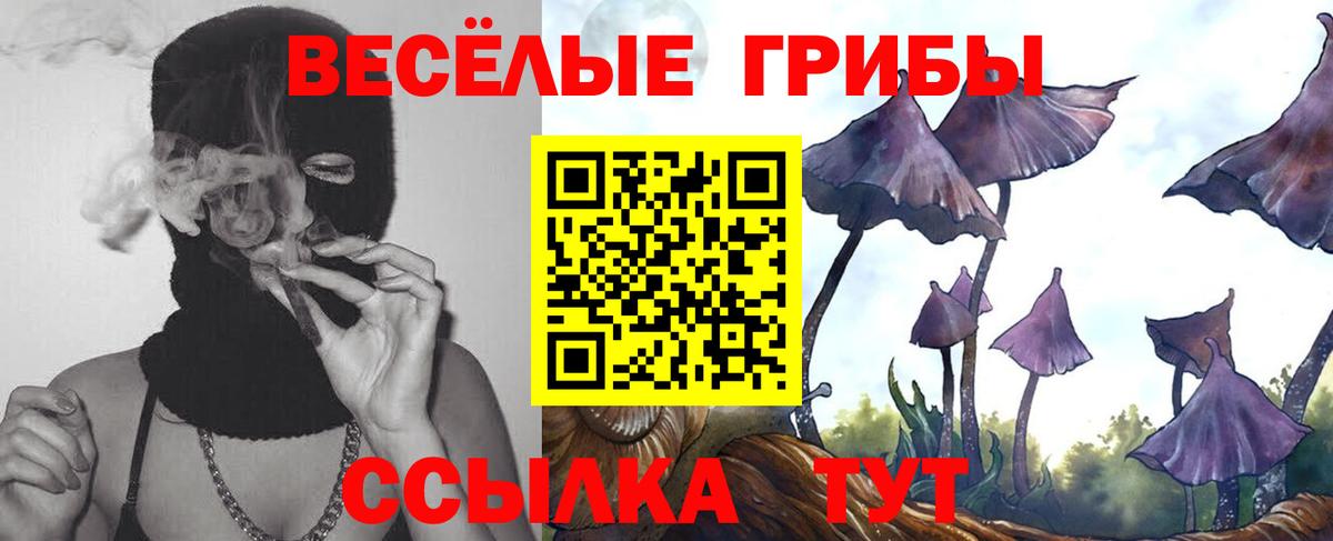 купить наркотик  Вход с VPN  Истра  Галлюциногенные грибы Psilocybine cubensis 